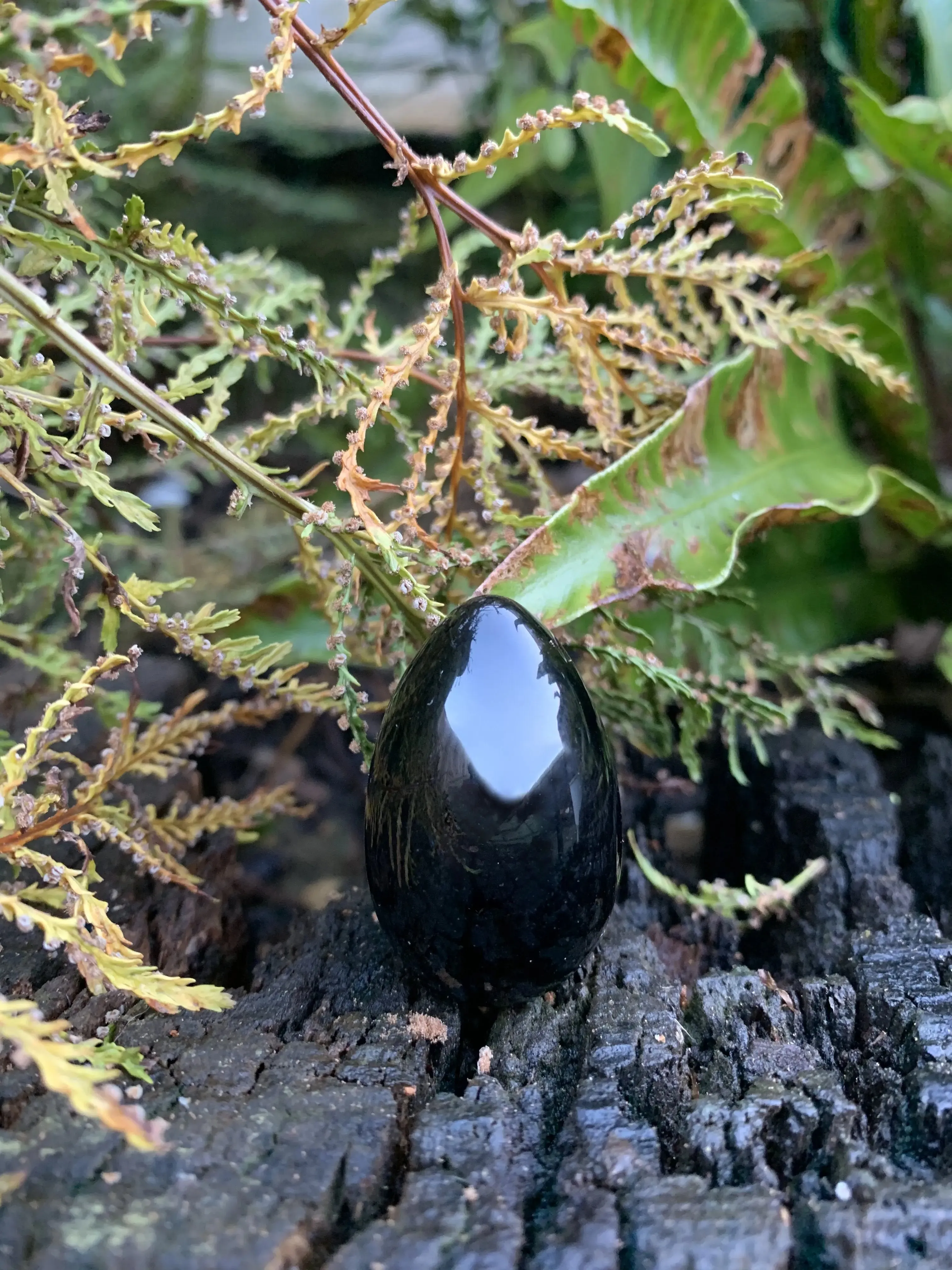 Jet Black Yoni Eggs Undrilled