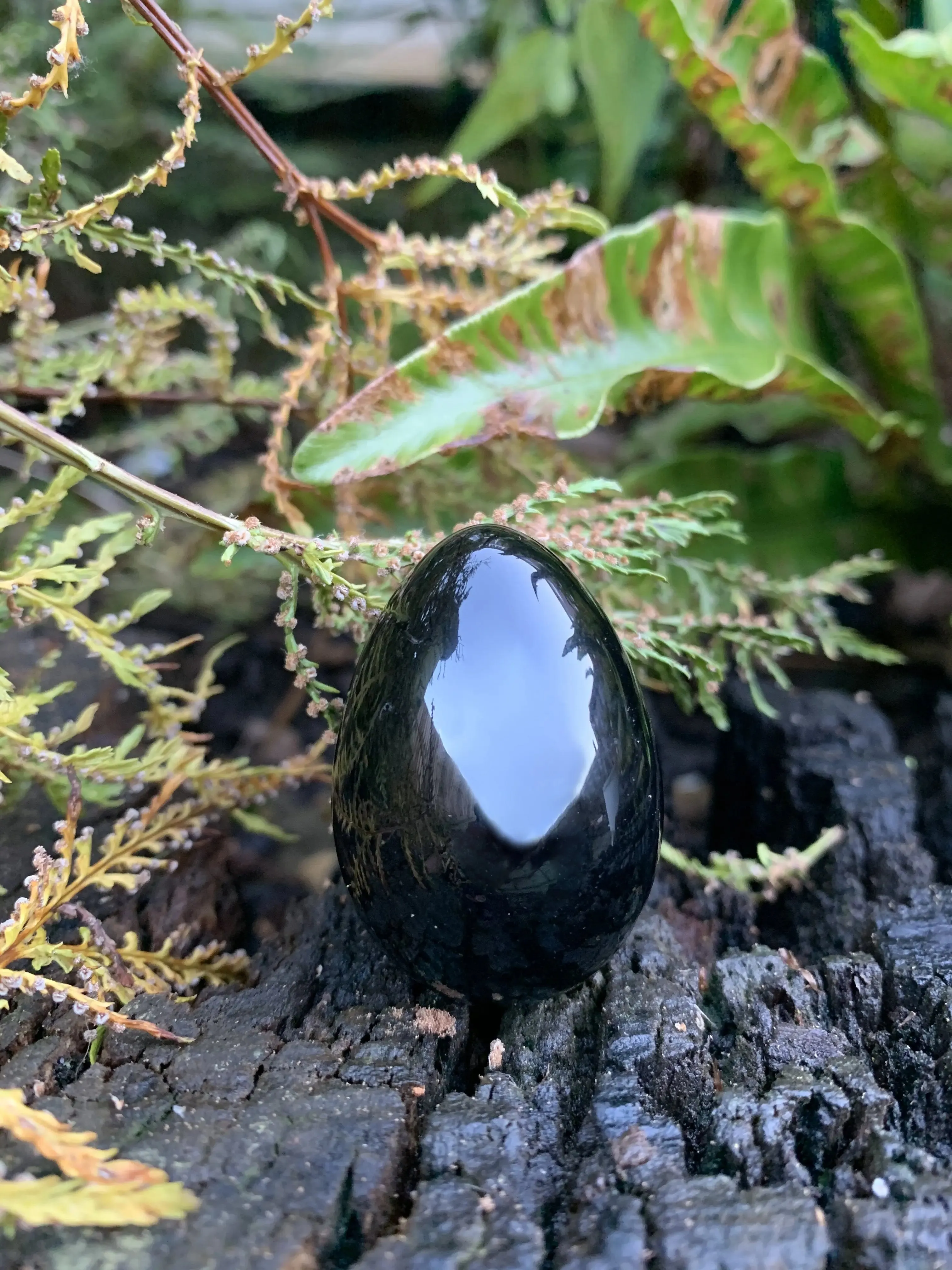 Jet Black Yoni Eggs Undrilled