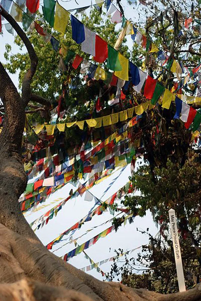 Large Traditional Tibetan Windhorse Block Printed Prayer Flag - 1 set